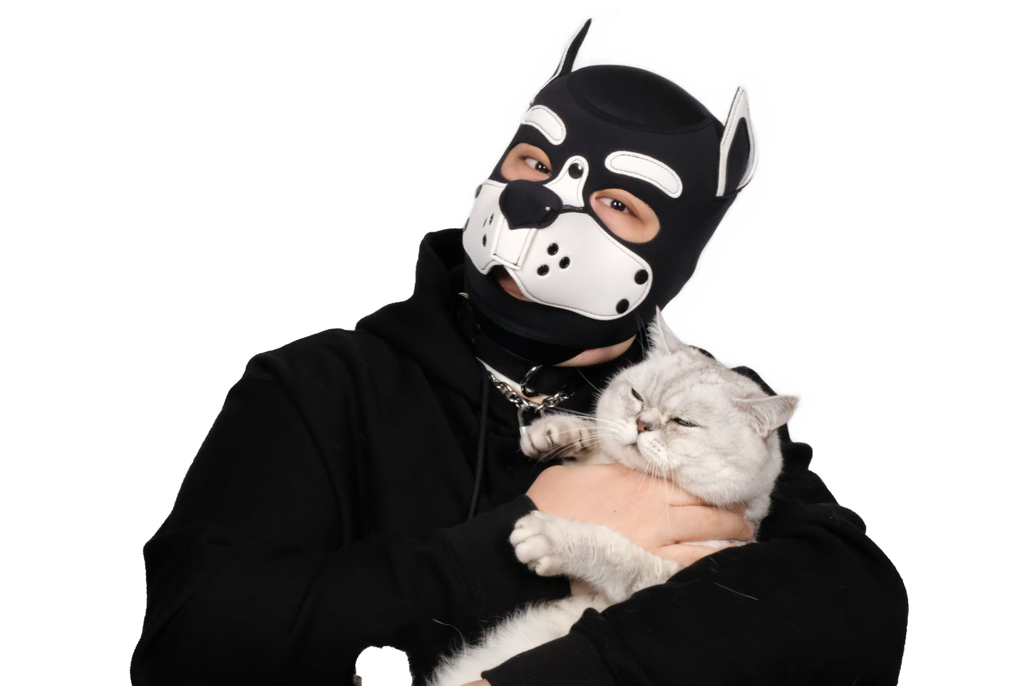 Neoprene Puppy Face Muzzle Dog Removable Full Head Hood Mask With Ears Cosplay Prop