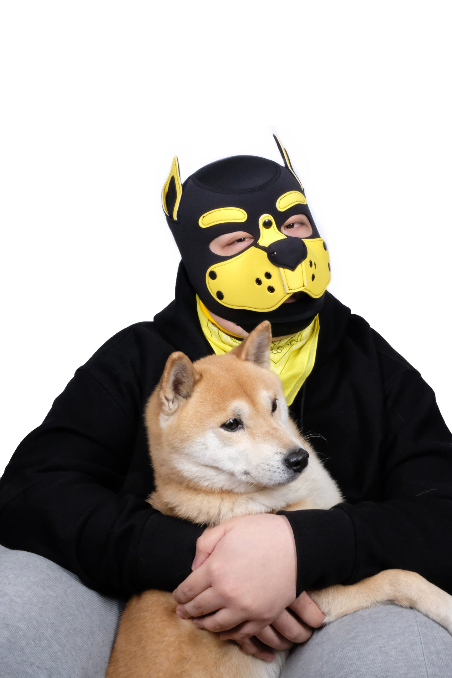 Neoprene Puppy Face Muzzle Dog Removable Full Head Hood Mask With Ears Cosplay Prop